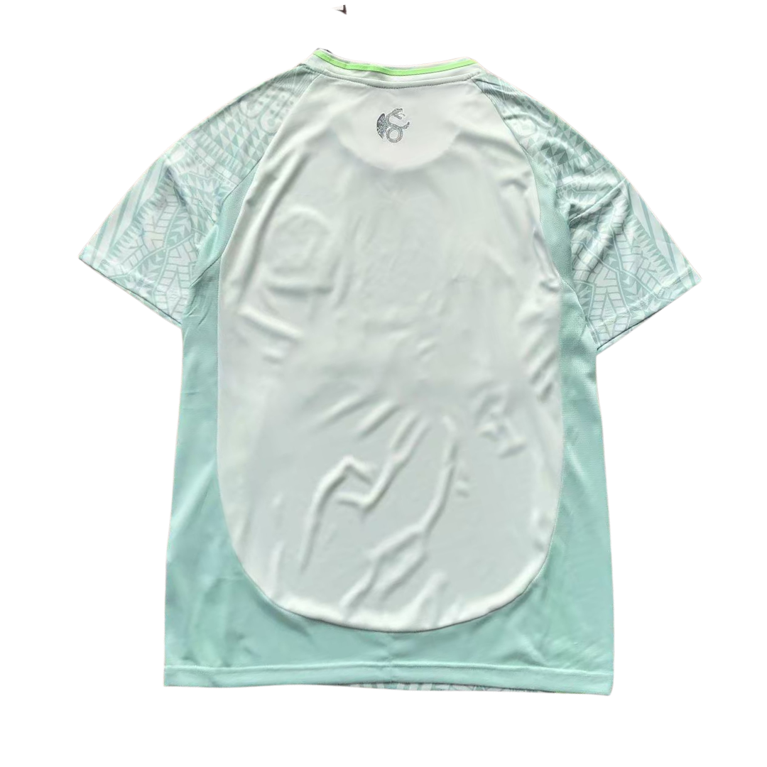 Camiseta Adidas x Stussy México  2024/25