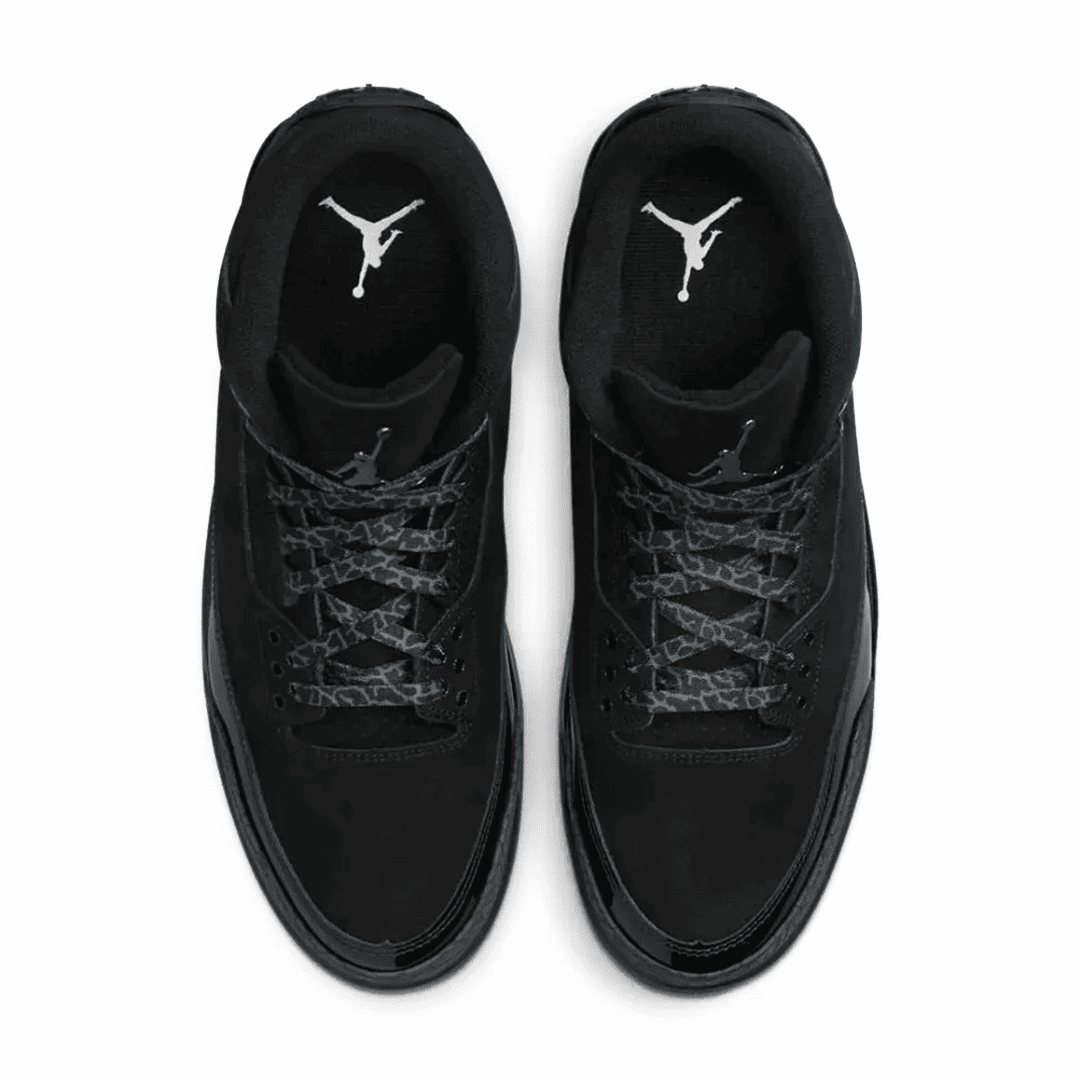 Air Jordan 3 Black Cat
